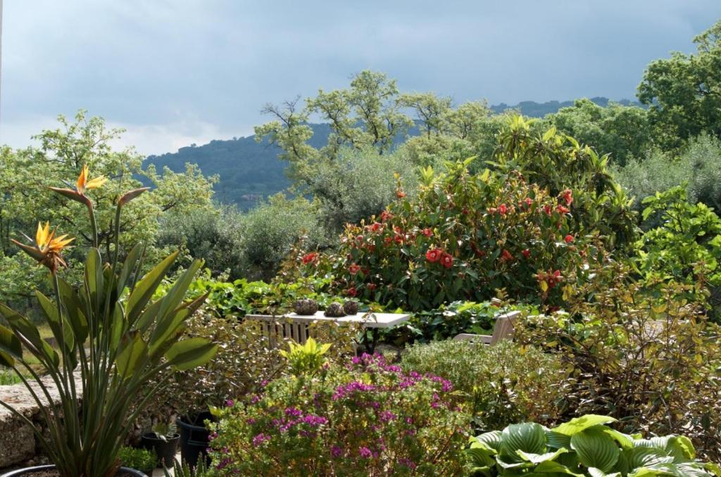 Quinta Da Saimeira Marvão Exterior foto